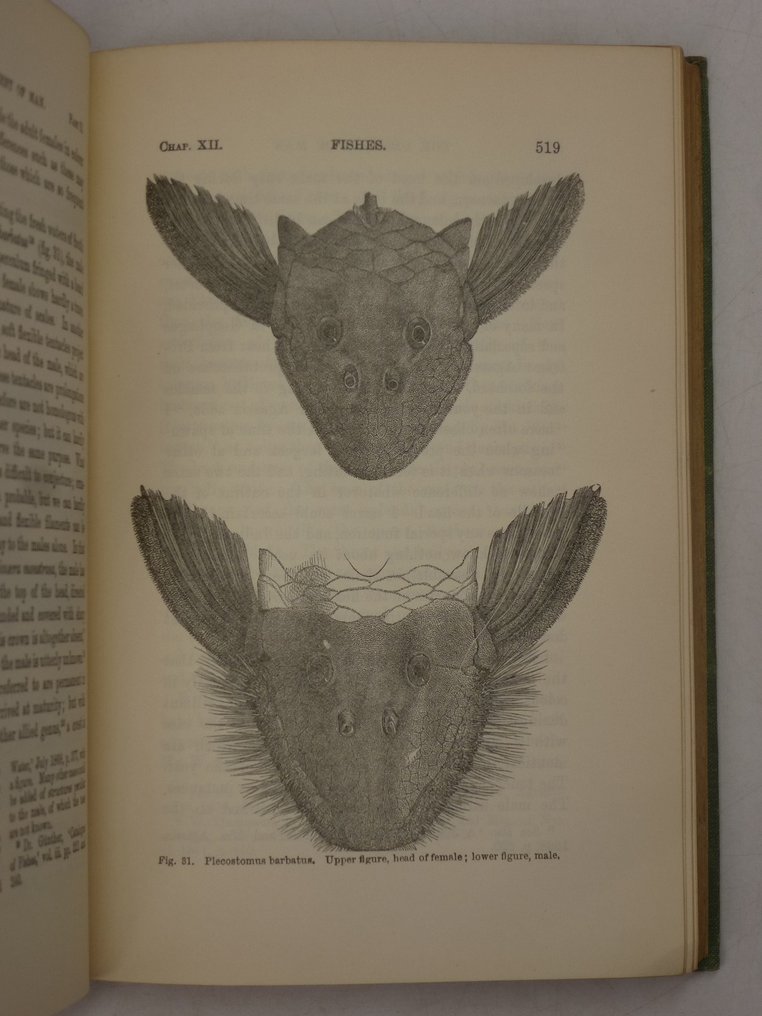 Charles Darwin M A F R S The Descent Of Man And Selection In Relation To Sex Catawiki