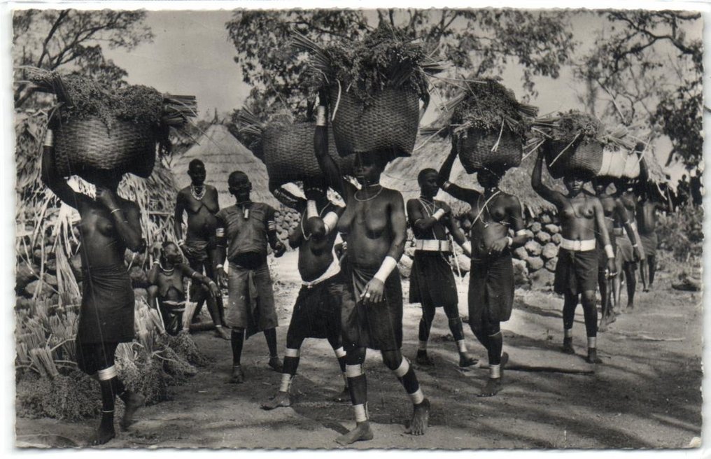 Africa Ethnic Nude From Different Countries Postcard