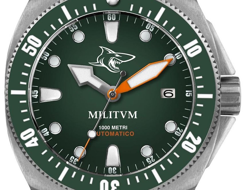 Catawiki montres 2025