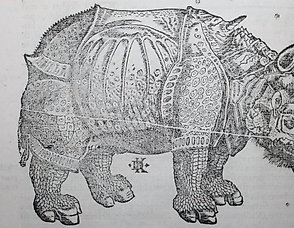 Zena Chiara Masud - Catawiki