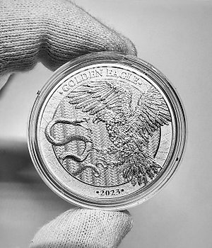 花ゆう様 Martin Margiela | 50 Pound Coin Wal 花ゆう様 Martin Margiela | 50 Pound Coin Wal