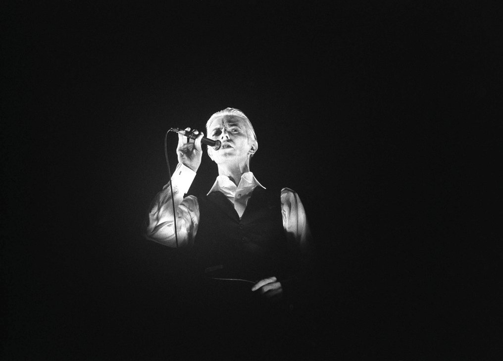 david-bowie-live-in-chicago-1976-36x-live-photos-photo-catawiki