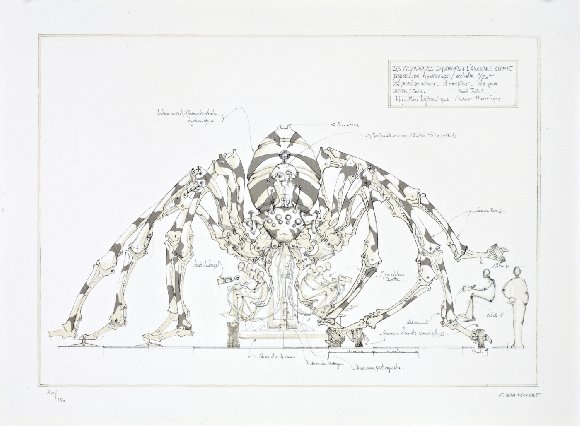 François Delarozière (1963- ) - L'araignée géante #3.2