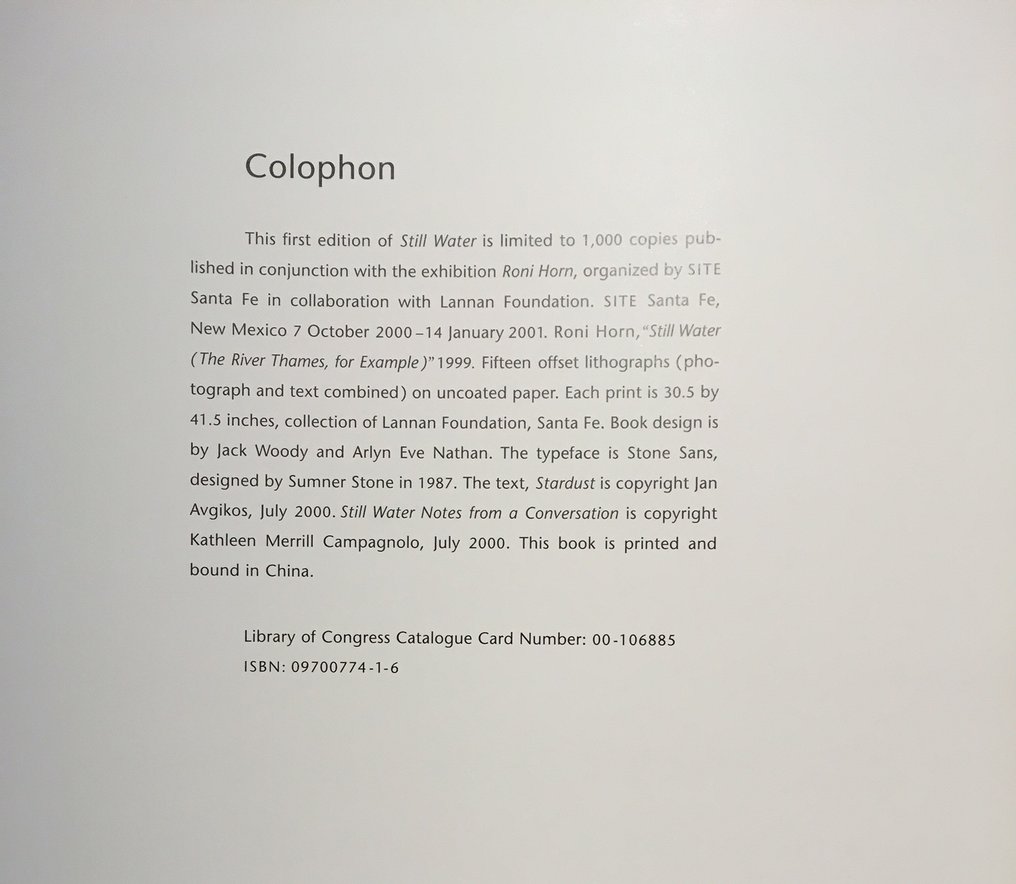 Roni Horn - Still Water - 2000 #3.2