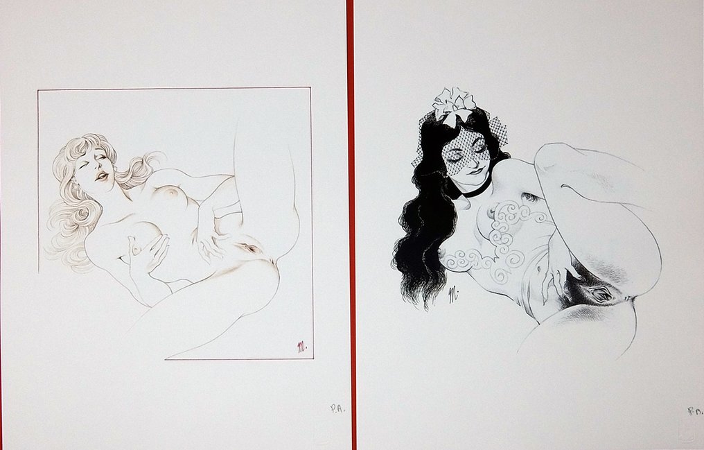 Magnus - 1 Portfolio - Il Principe e il suo giardino 1 #4.3