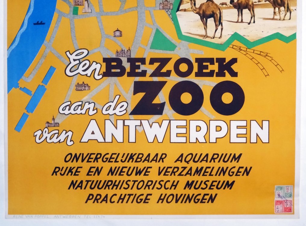 René Van Poppel - De uitstap van dit jaar : een bezoek aan de ZOO van Antwerpen - 1940年代 #2.1