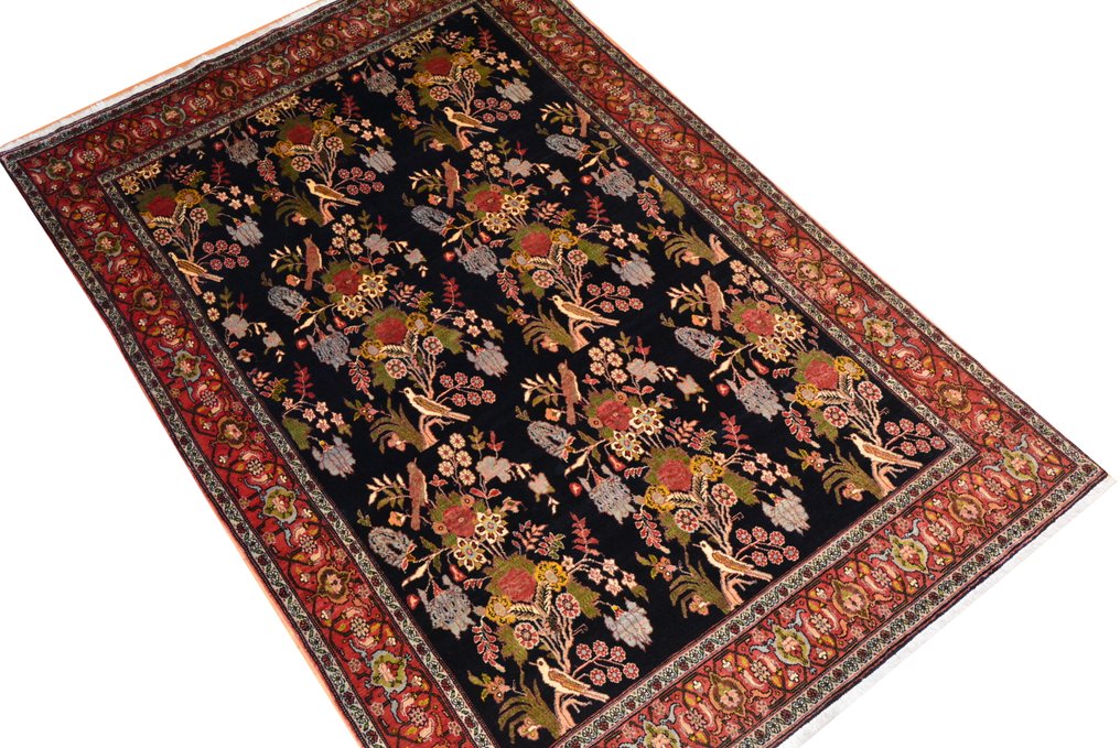 Senneh - Carpet - 241 cm - 161 cm #1.2