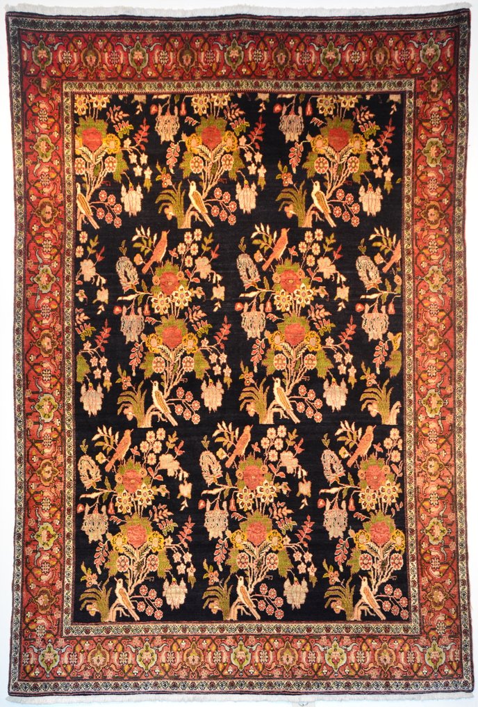 Senneh - Carpet - 241 cm - 161 cm #1.1