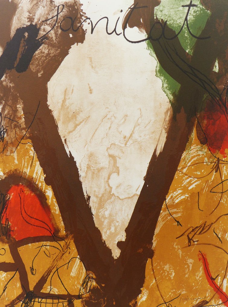 Alberto Rafols Casamada - Sanitat #1.0