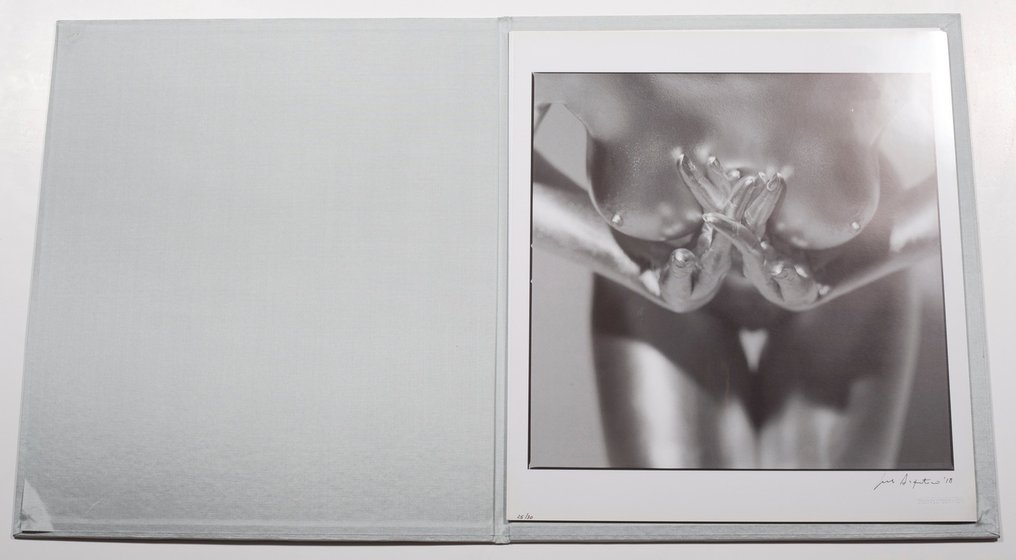 Guido Argentiini - Silvereye I - 12 Signed offset XL prints - 2003-2003 #1.0