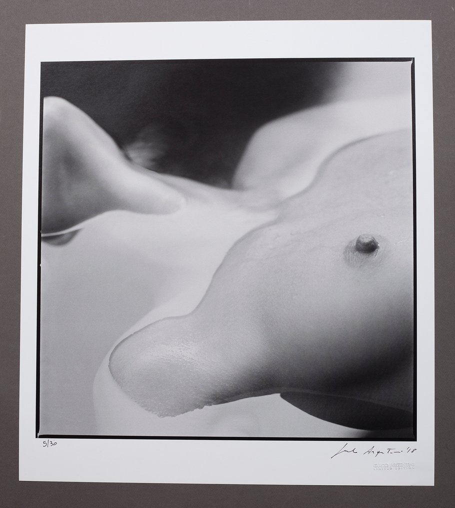 Guido Argentini - Silvereye I - 11 Signed offset XL prints - ed.x/30 - 2004 #3.2