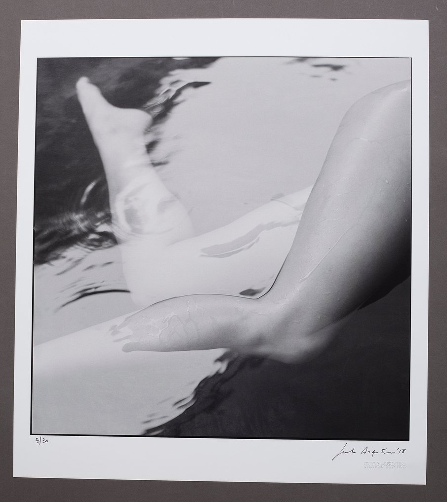 Guido Argentini - Silvereye I - 11 Signed offset XL prints - ed.x/30 - 2004 #4.3