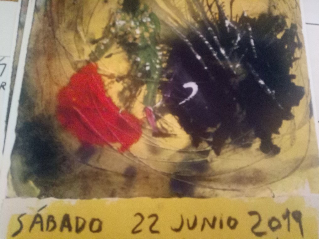 Barceló - José Tomás Corpus Granada #2.1