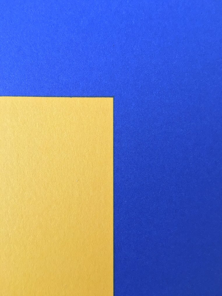 Ellsworth Kelly - Red Yellow Blue - Lithographic licensed print 2005 - COA #4.3