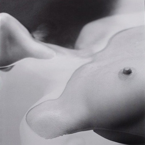 Guido Argentini - Silvereye I - 11 Signed offset XL prints - ed.x/30 - 2004 #2.1
