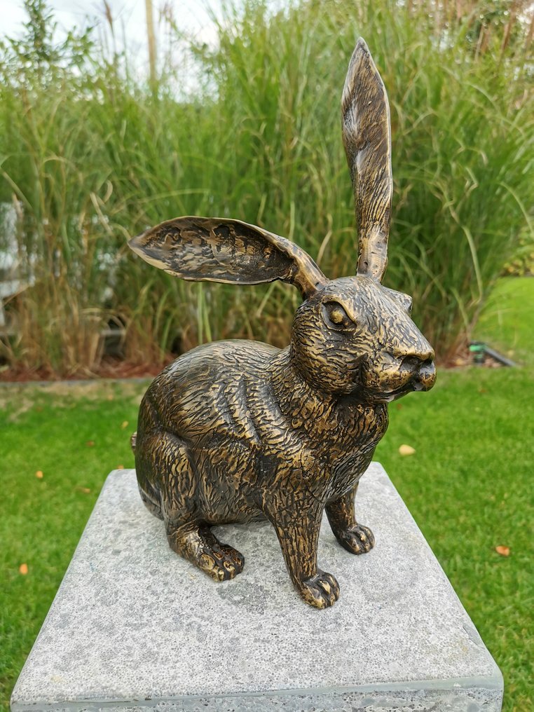 Statuetta - Levensechte haas - Bronzo #2.1
