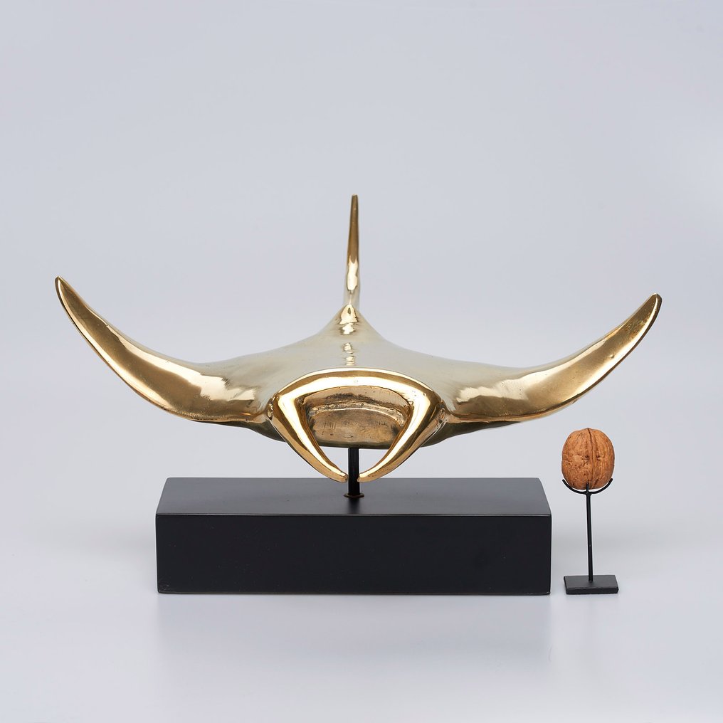 Γλυπτό, Sculpture of Manta Ray - 27 cm - Μπρούντζος #2.1