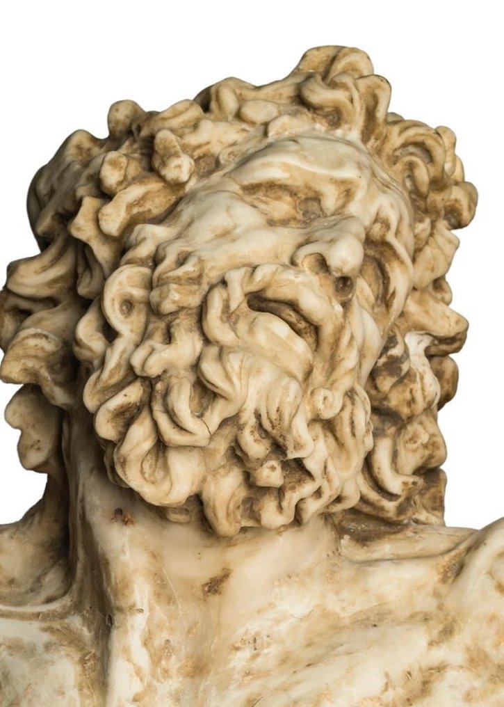 雕刻, Busto del Laooconte - 81 cm - 石膏 #4.3