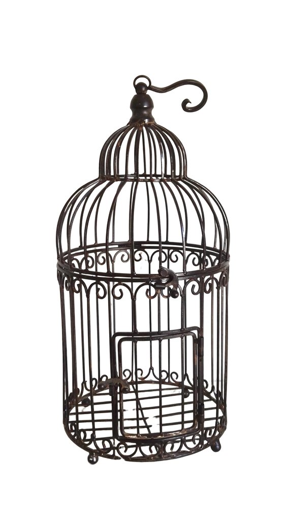  鸟笼 (2) - 铁 #2.1