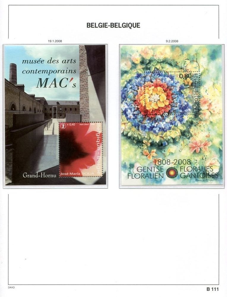 比利时 2008 - 年度邮票和邮票块在Davo LX相册页上 #4.3