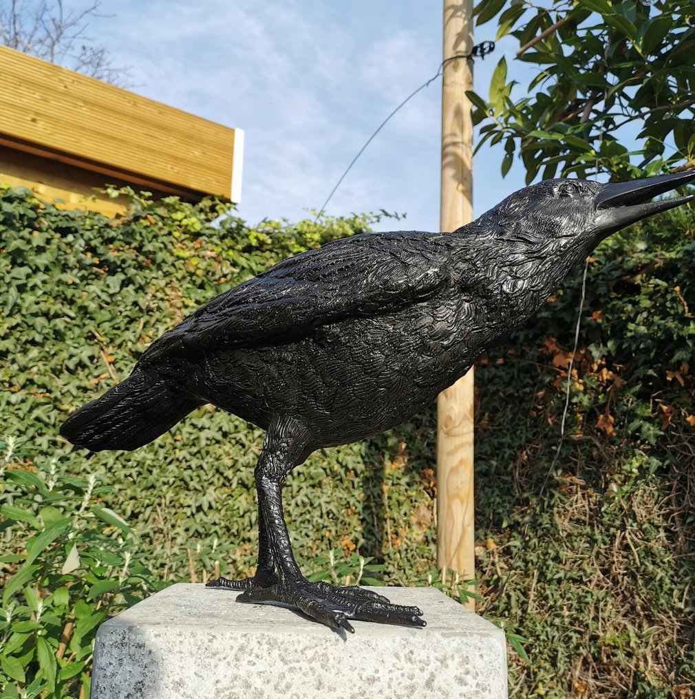 Sculpture, Lifelike Raven - 39 cm - Bronze #1.0