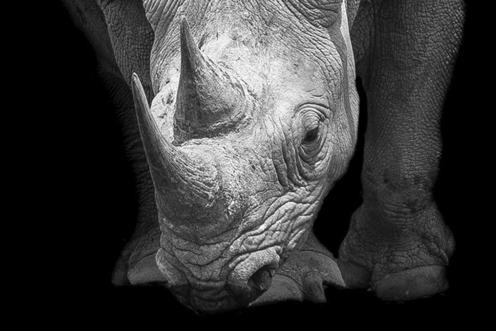 Marco Simoni - "13000 grams" #2.1