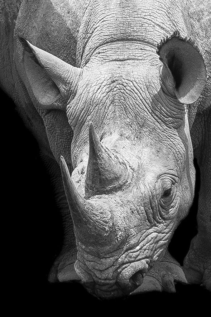 Marco Simoni - "13000 grams" #1.0