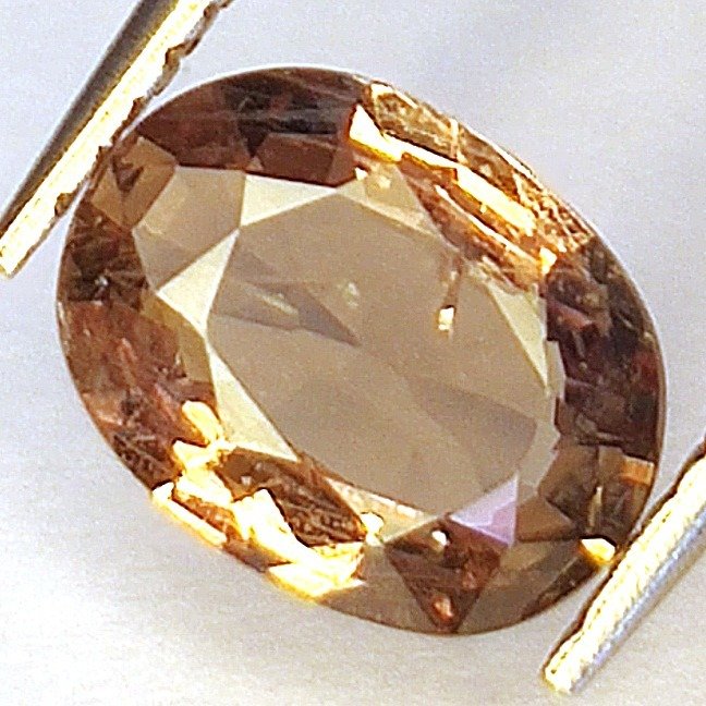 Yellow, Brown Sapphire - 1.70 ct - Antwerp Laboratory for Gemstone Testing (ALGT) #3.2