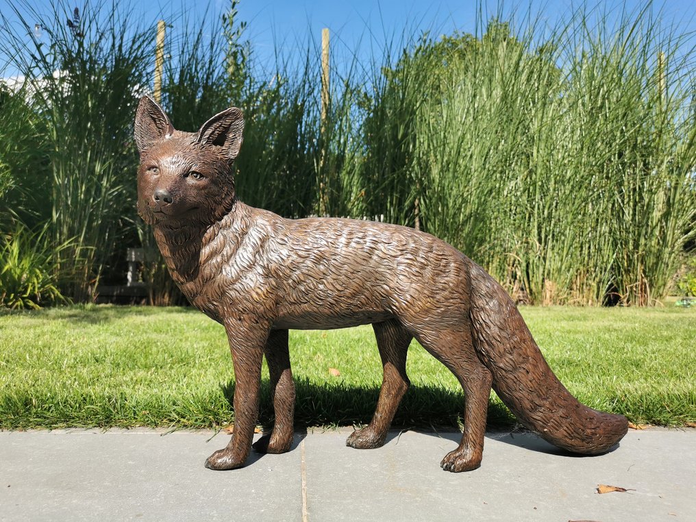 小雕像, Bronzen Vos - 38 cm - 青銅色 #1.0