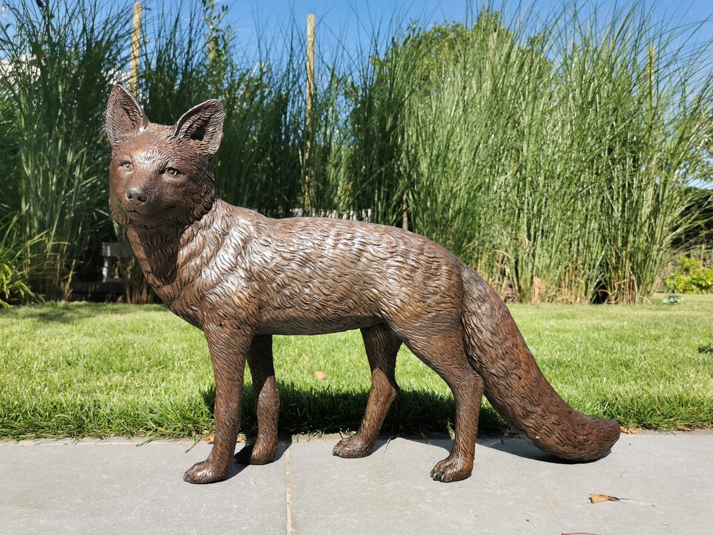 小雕像, Bronzen Vos - 38 cm - 青銅色 #4.3