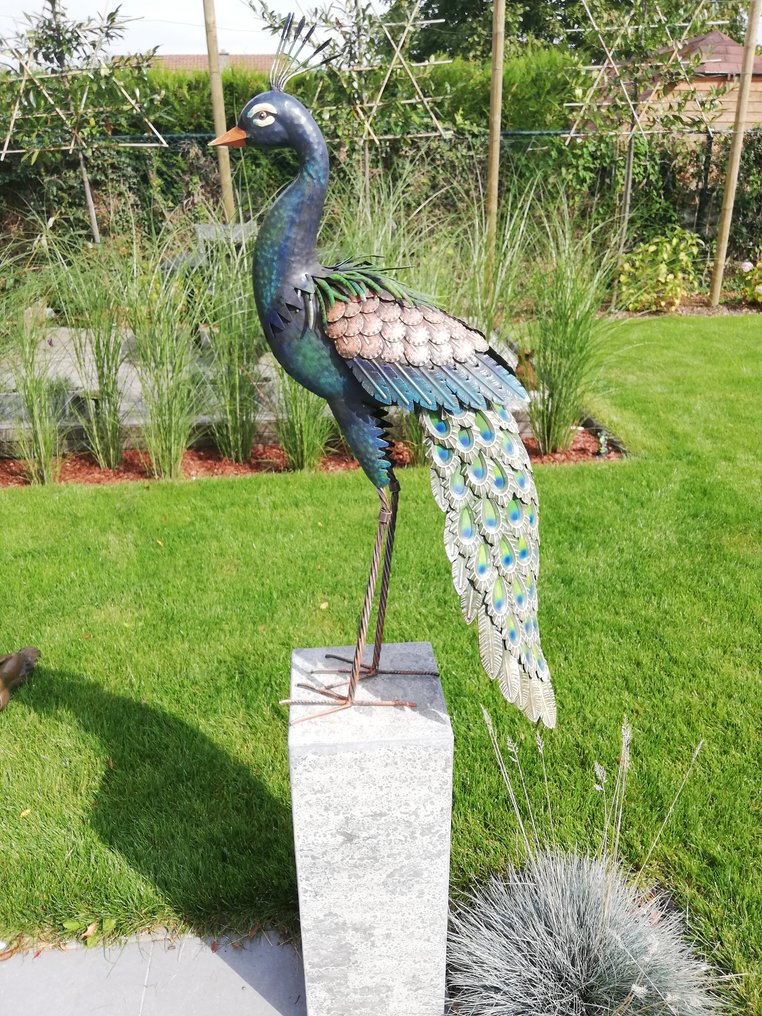 Staande pauw - Statuetta - Metallo #4.3