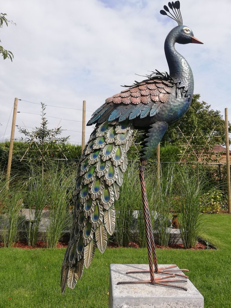 Staande pauw - Statuetta - Metallo #2.1