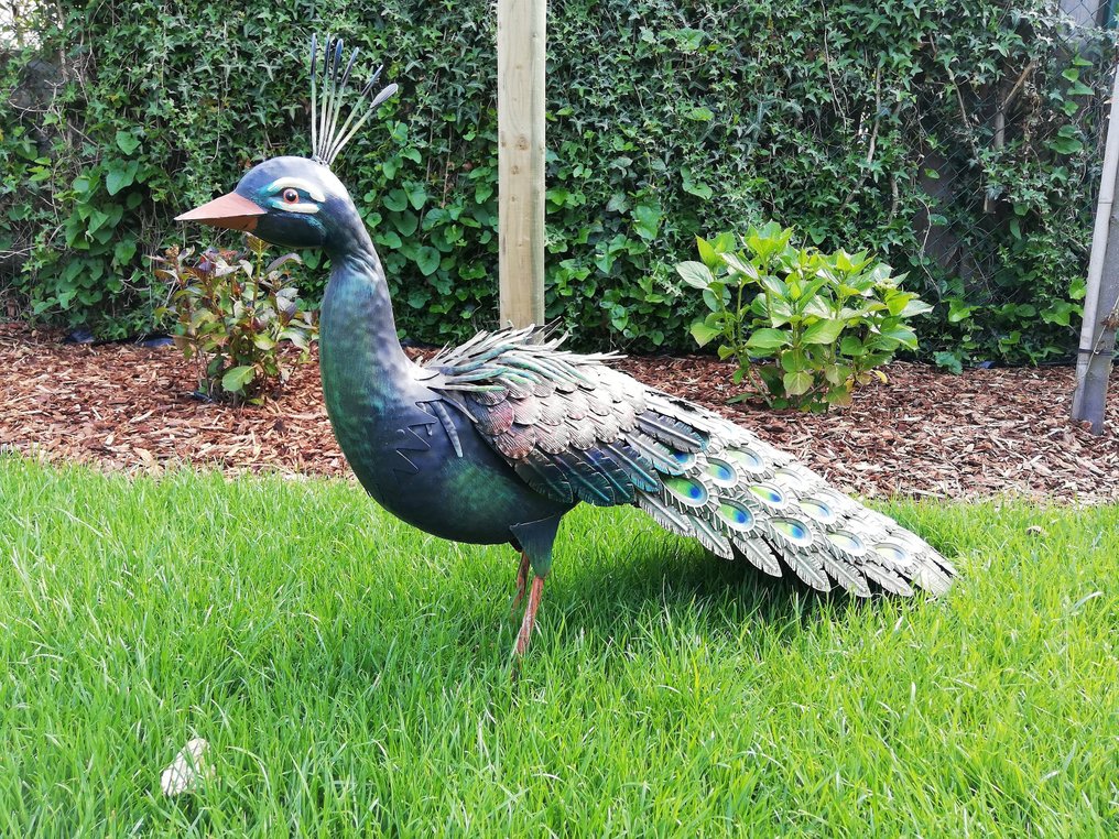 Pauw - Figurita - metal #1.0