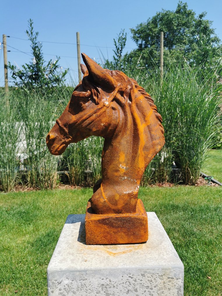 雕刻, A rustic horse head - 40 cm - 鐵 #1.0
