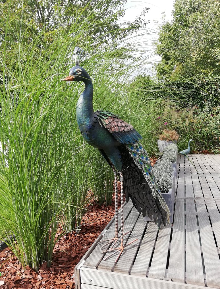 Staande pauw - Statuetta - Metallo #1.0