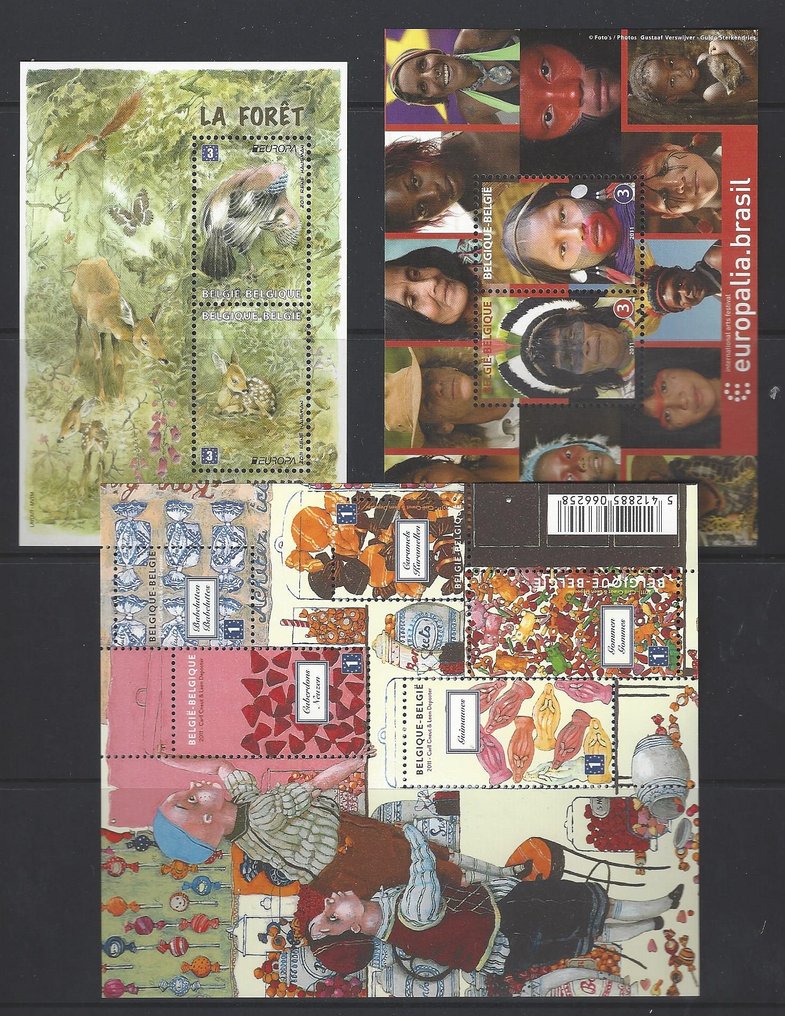 Belgio 2011 - l'anno intero #4.3