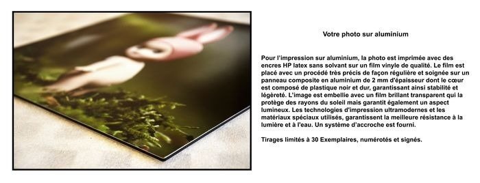 David Law - Captain Cook #1.0