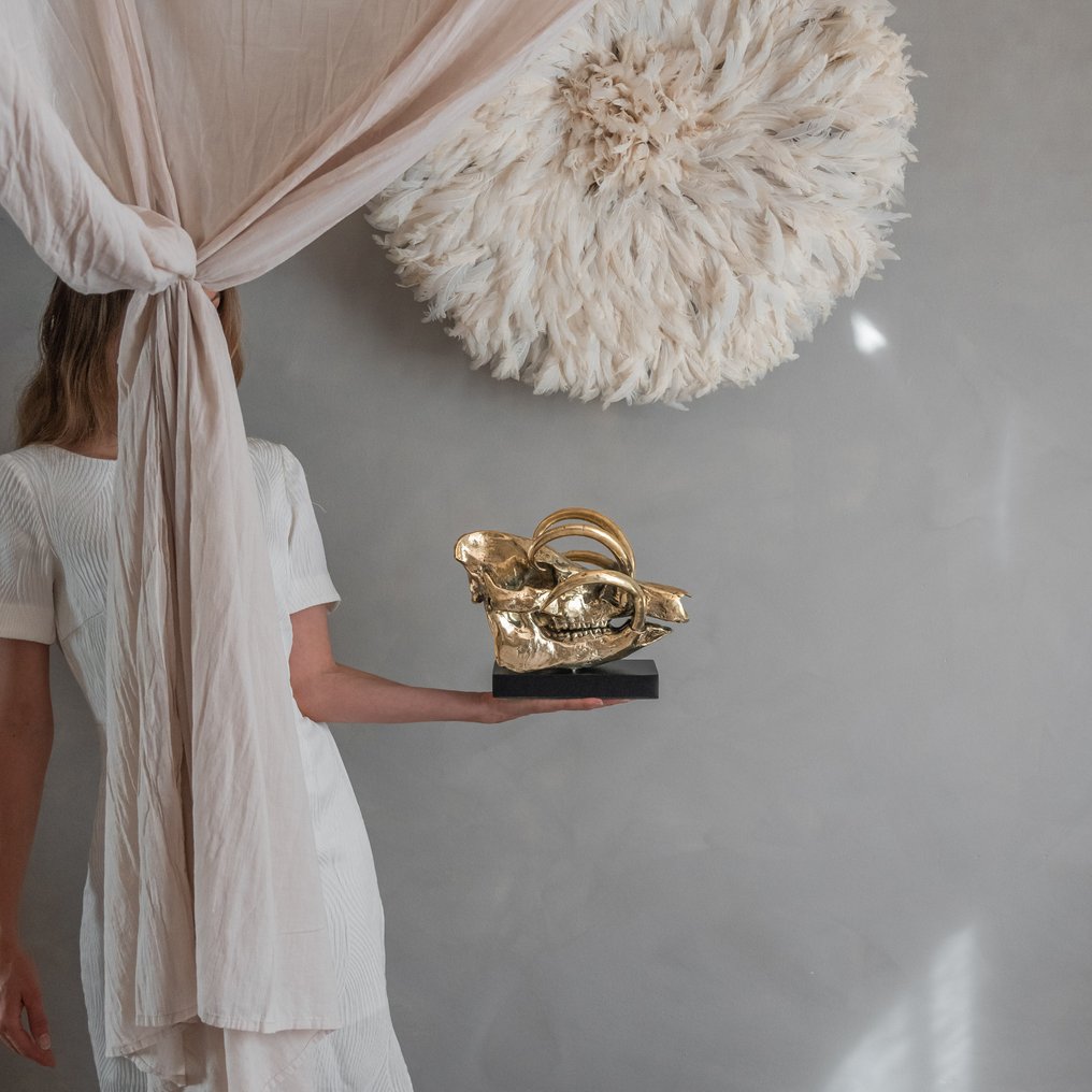 Sooka Interior - 雕塑, Sooka Interior - Babirusa Skull on a custom stand - Babyrousa - Link to video of this sculpture down - 20 cm - 黄铜色 #1.0