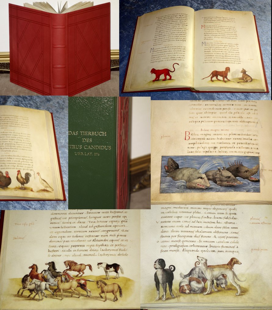 Das Tierbuch des Petrus Candidus - Codex Urbinas Latinus - 1550 #1.1