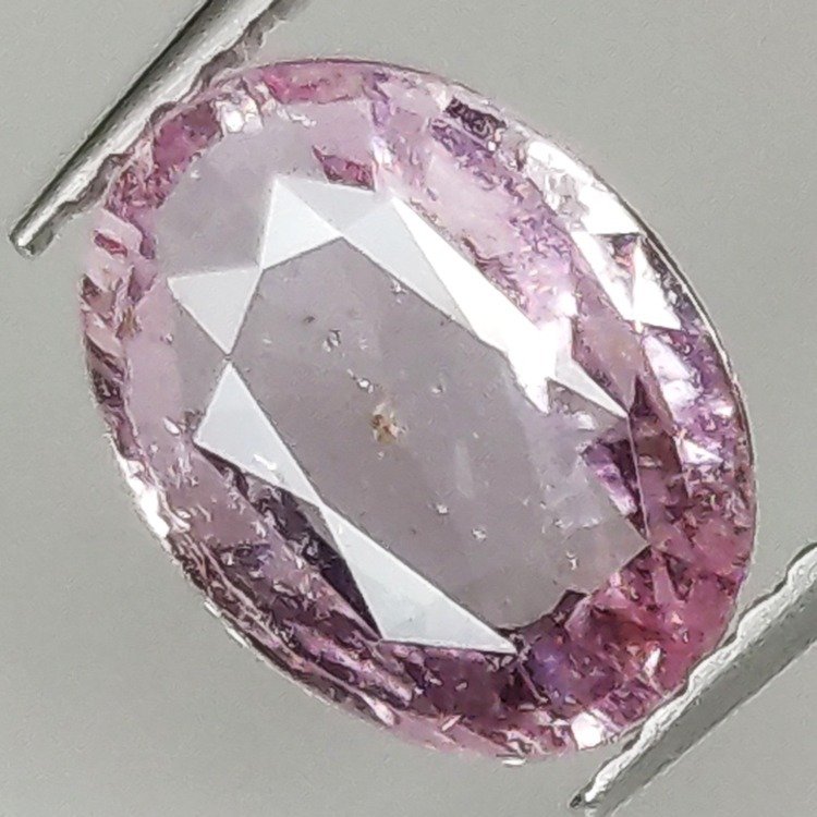 Pink Sapphire  - 1.87 ct - Antwerp Laboratory for Gemstone Testing (ALGT) - NO HEAT #4.3