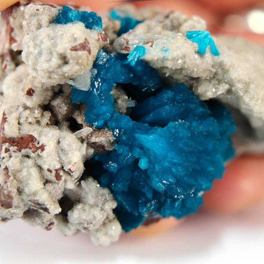 Πολύ σπάνιο - Μεγάλος κρύσταλλος καβανσίτης στο Chalcedony Matrix - Pune Mines - Ύψος: 67.5 mm - Πλάτος: 41.5 mm- 75 g #2.1