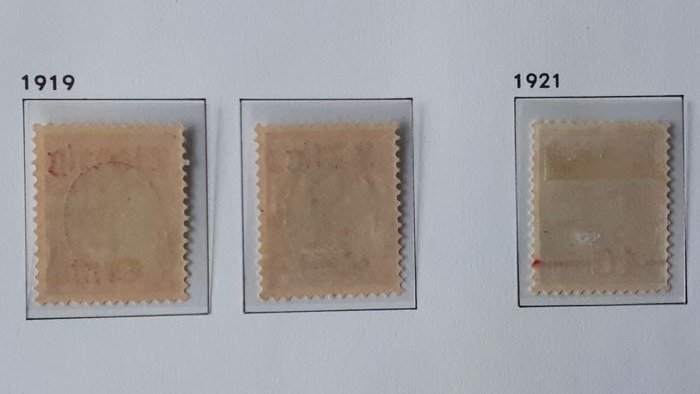 Ολλανδία - Wilhelmina 1919-1920 #3.2