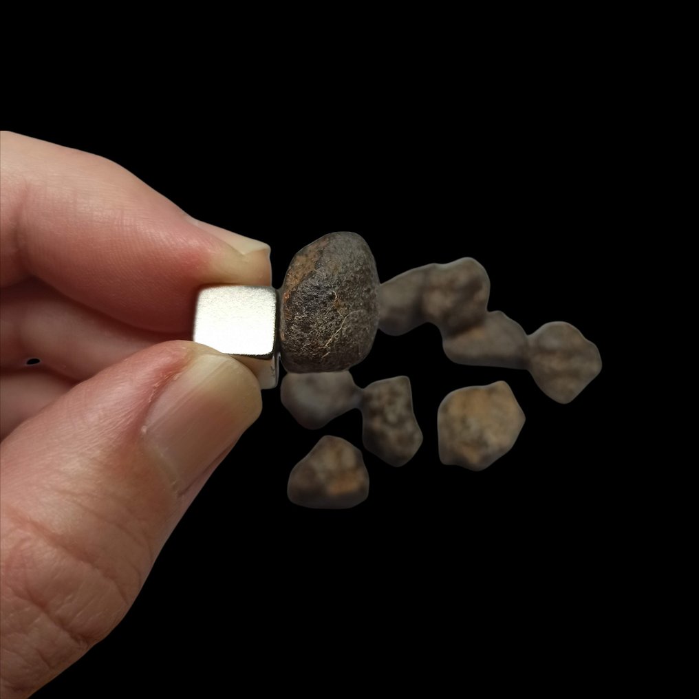 Σετ x10 ΜΕΤΕΩΡΙΤΕΣ. NWA 869 (Αλγερία, 2000). CHONDRITE L3-6. Ωραία δείγματα! - 50 g #4.3