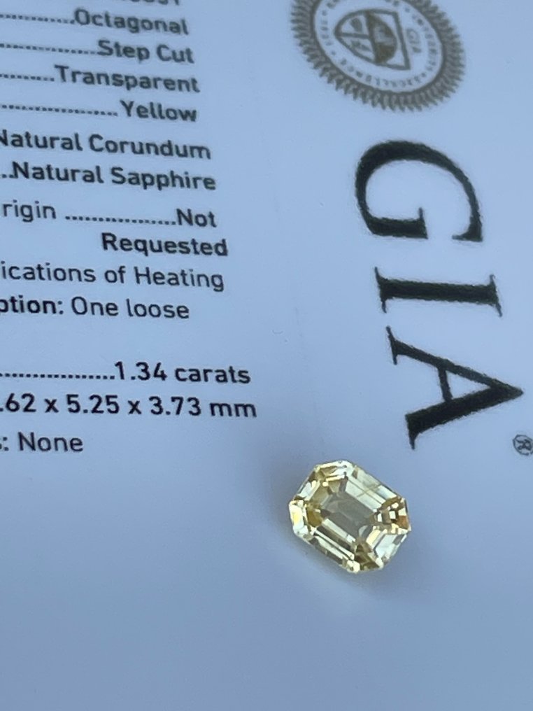 Sans prix de réserve - 1 pcs  Jaune Saphir  - 1.34 ct - Gemological Institute of America (GIA) #3.2