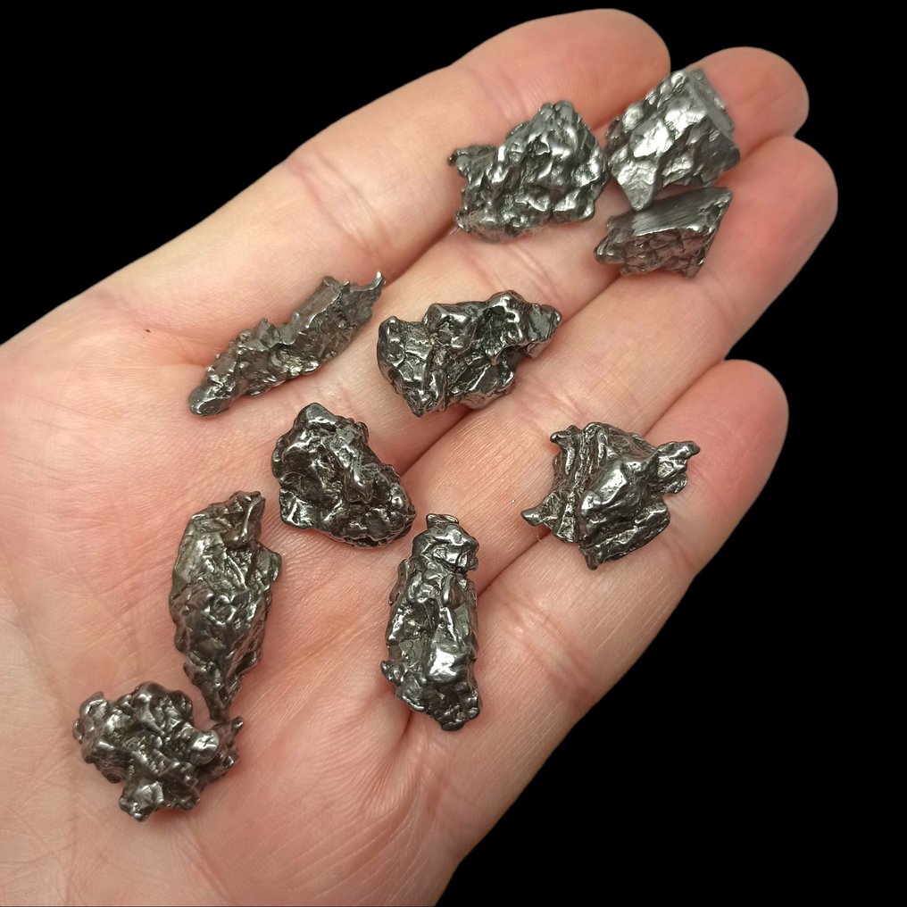 x 10 铁陨石 Campo del Cielo(阿根廷,4500年前)。无保留价格。 - 70 g #4.3