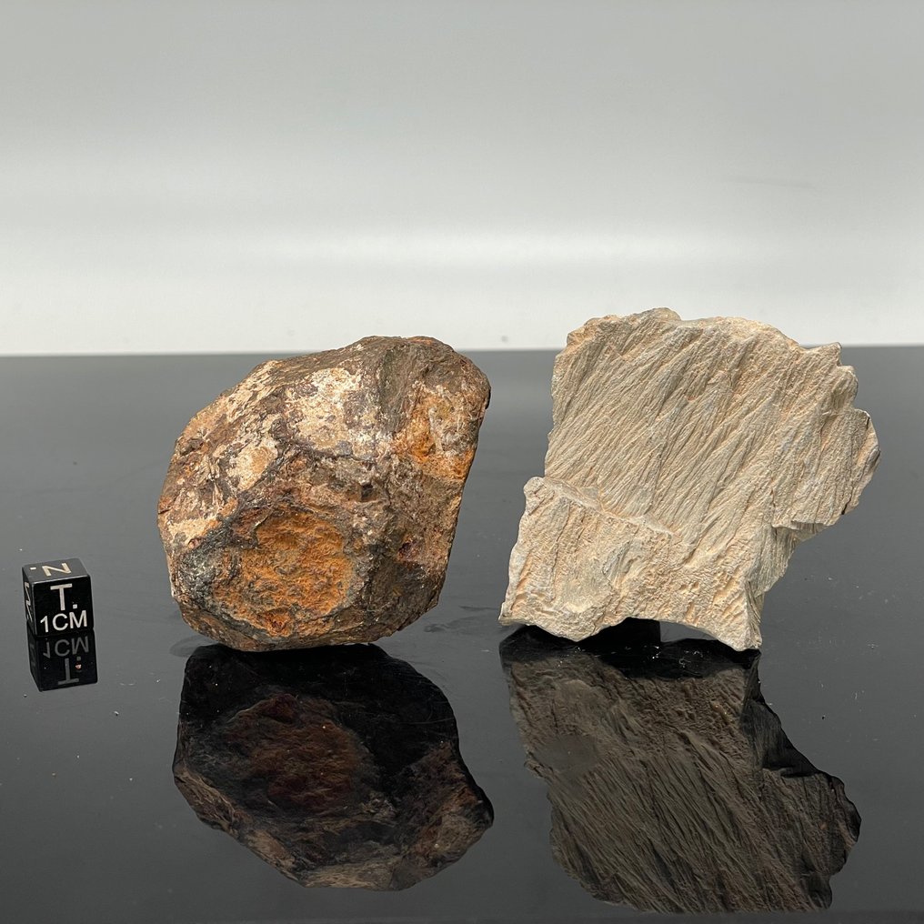 Confezione AGOUDAL e CONO FRANTUMATO Meteorite di ferro e cono infrangibile - 306 g - (2) #1.1