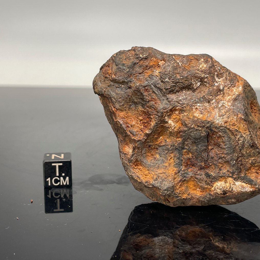 Confezione AGOUDAL e CONO FRANTUMATO Meteorite di ferro e cono infrangibile - 306 g - (2) #2.1