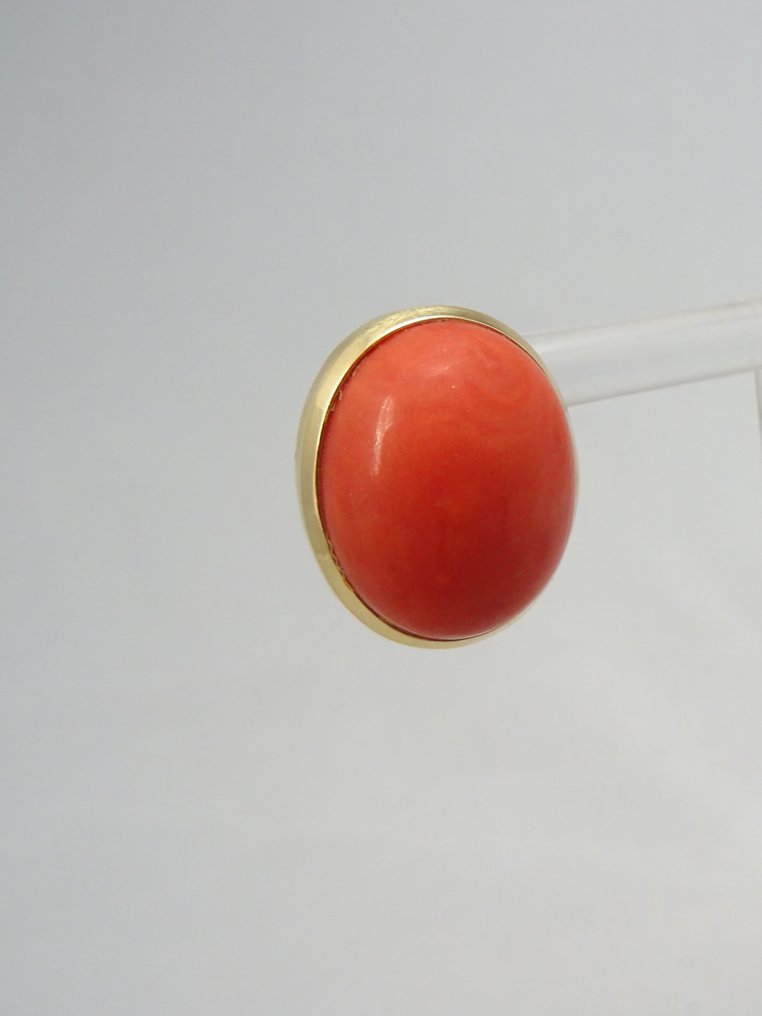 Σκουλαρίκια - 18 καράτια Κίτρινο χρυσό Κοράλλι #3.2