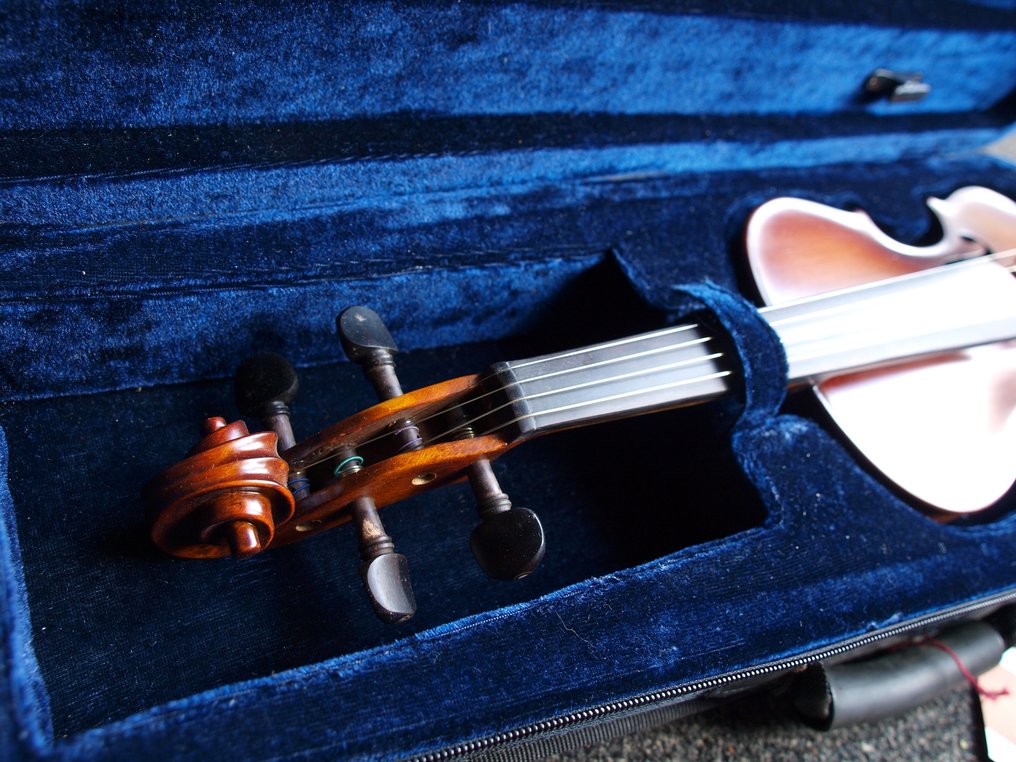 Warchal - Schitterende Studieviool 3/4 - - Violino #4.3