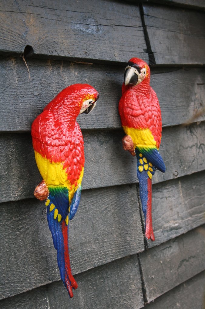 雕刻, "COUPLE RED PARROTS" - 35 cm - 鑄鐵 #4.3